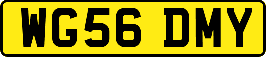 WG56DMY