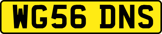 WG56DNS