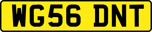 WG56DNT