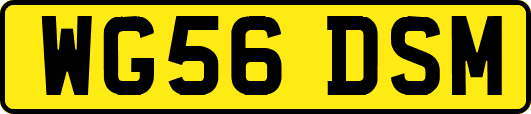 WG56DSM