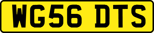 WG56DTS