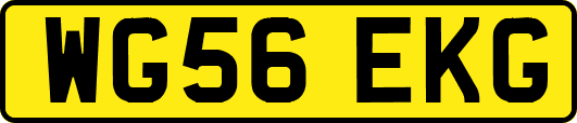 WG56EKG