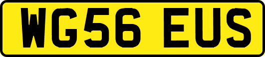 WG56EUS