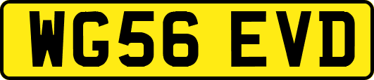 WG56EVD