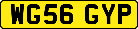 WG56GYP