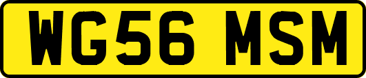WG56MSM