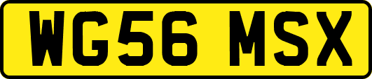 WG56MSX