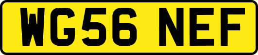 WG56NEF
