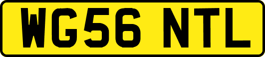 WG56NTL