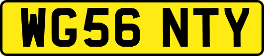 WG56NTY