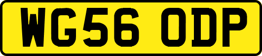 WG56ODP