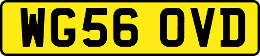 WG56OVD