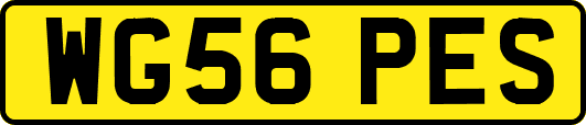 WG56PES