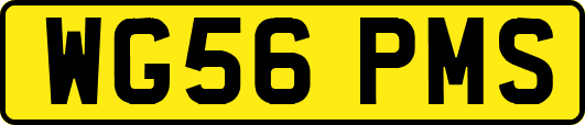 WG56PMS