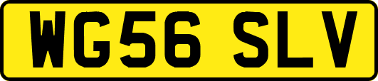 WG56SLV