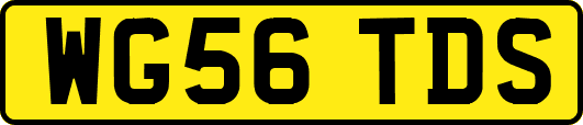WG56TDS