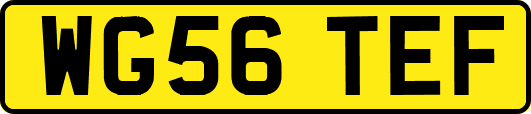 WG56TEF