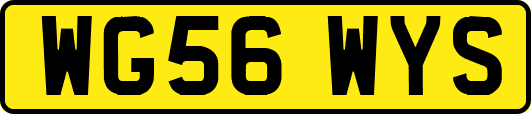 WG56WYS