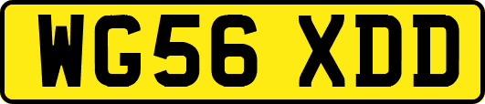WG56XDD