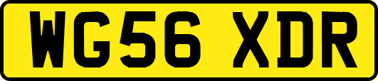WG56XDR