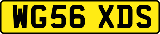 WG56XDS