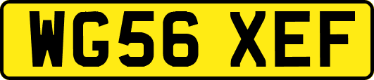 WG56XEF