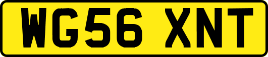 WG56XNT