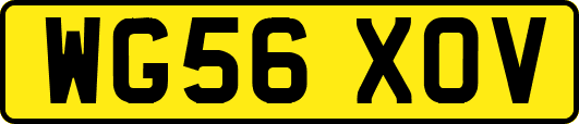 WG56XOV