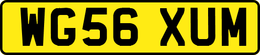 WG56XUM