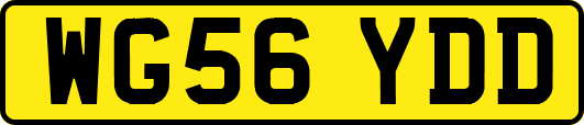 WG56YDD