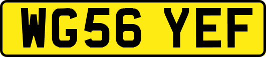 WG56YEF