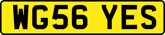 WG56YES