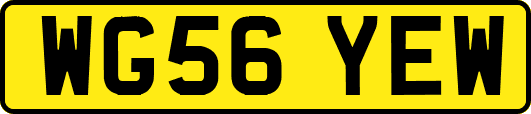 WG56YEW