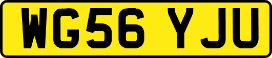 WG56YJU