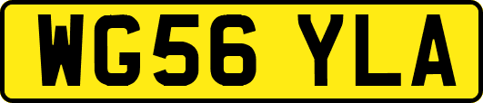 WG56YLA