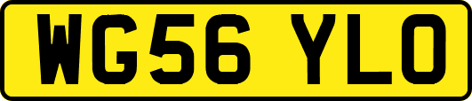 WG56YLO