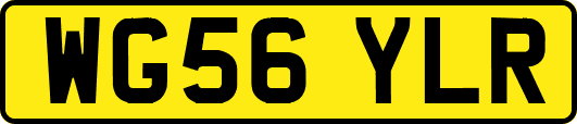 WG56YLR