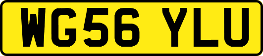 WG56YLU