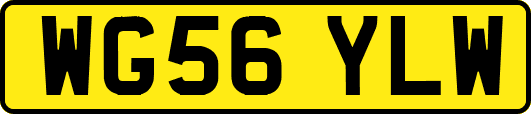 WG56YLW