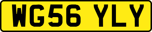 WG56YLY
