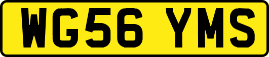 WG56YMS