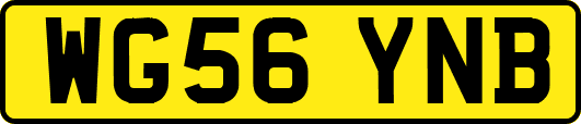 WG56YNB
