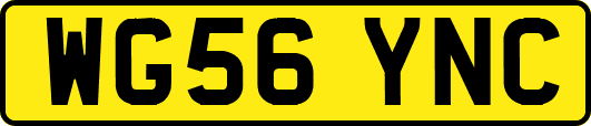 WG56YNC