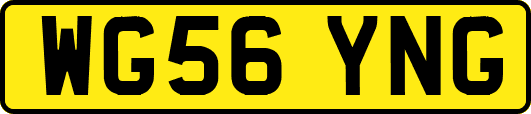 WG56YNG
