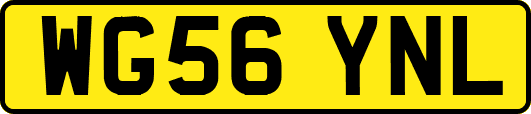WG56YNL