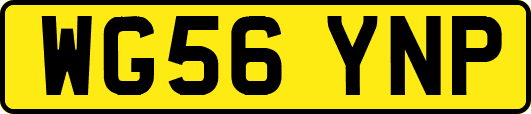 WG56YNP