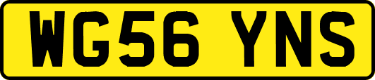 WG56YNS