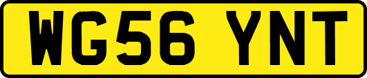 WG56YNT