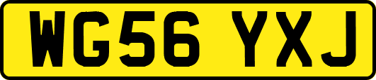 WG56YXJ