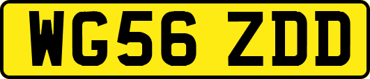 WG56ZDD